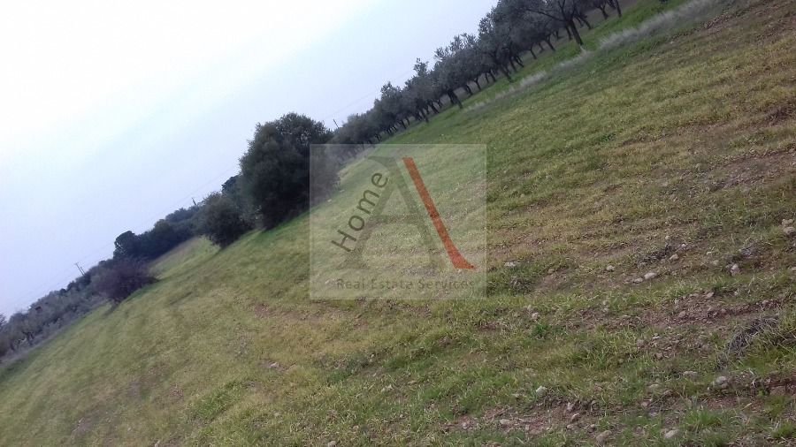 Πώληση, Αγροτεμάχιο 6500τ.μ, Αθήνα - Υπόλοιπο Αττικής, Μέγαρα, € 50 000 | AHome Real Estate ...